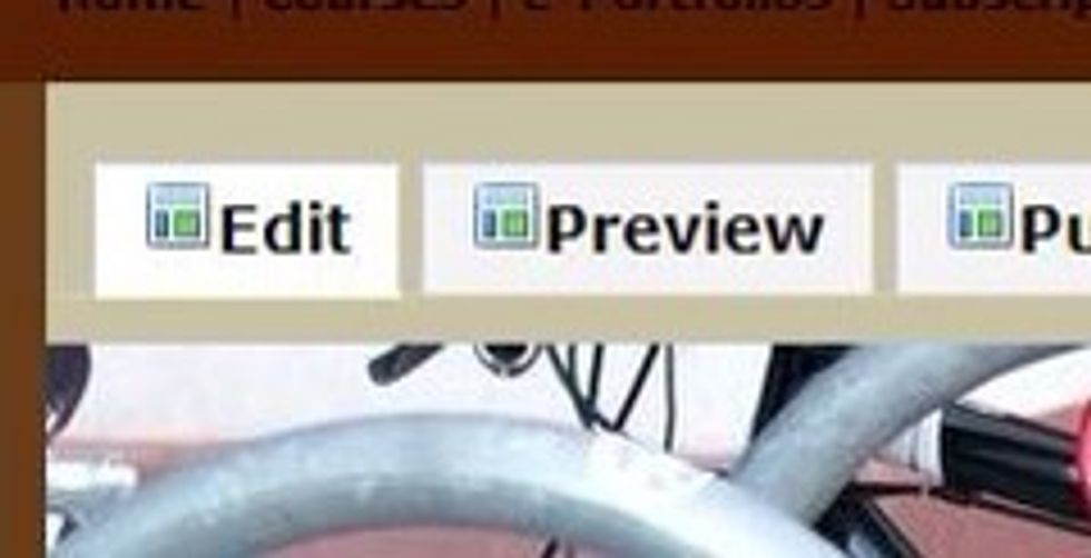 Select Edit to make any changes to your e-Portfolio.