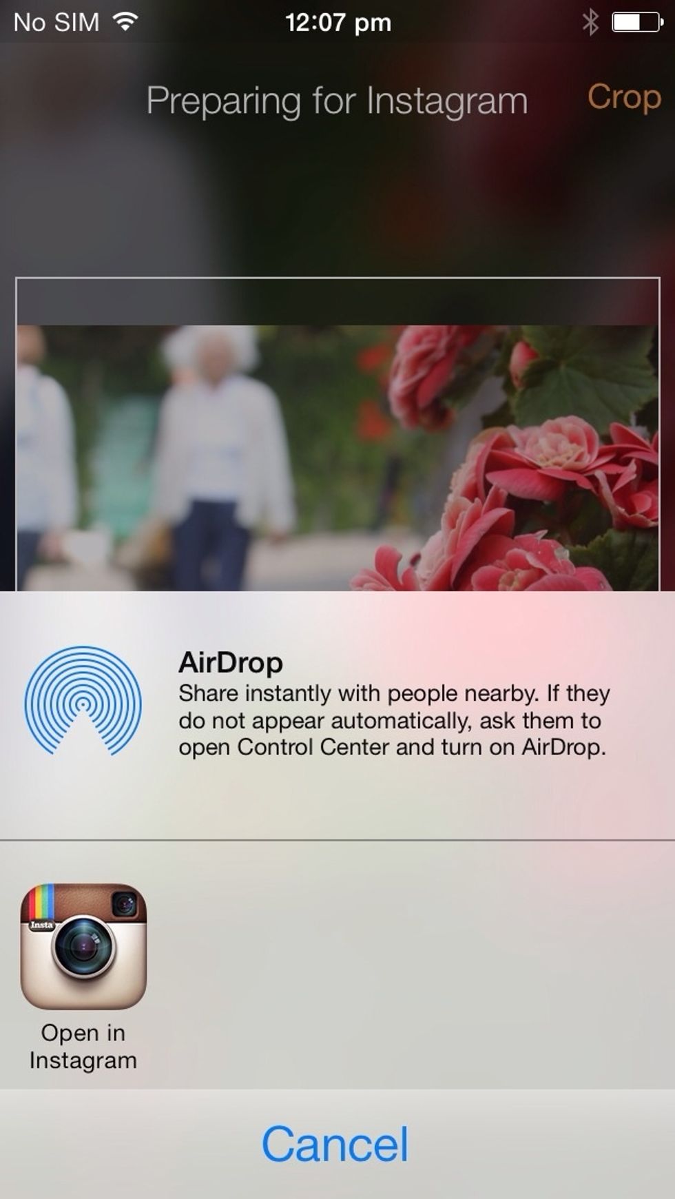 Select 'Open image in Instagram'.