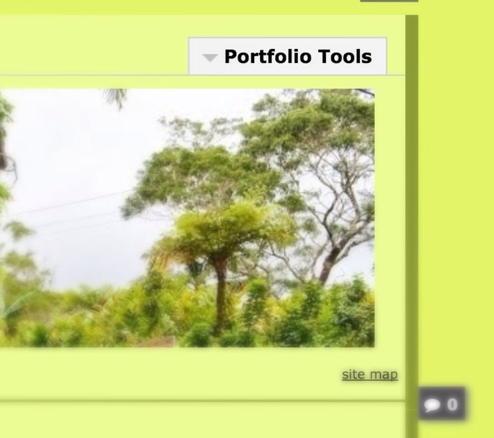 Select Portfolio Tools.
