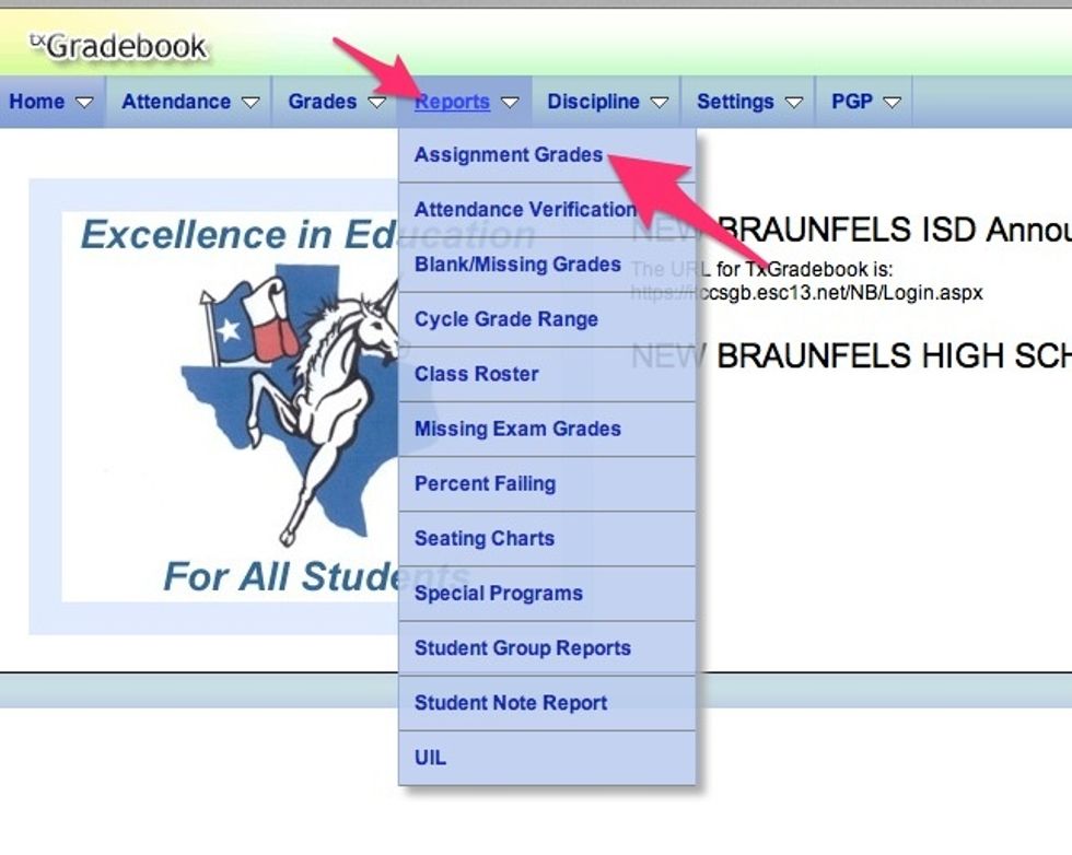 Select Reports > Assignment Grades