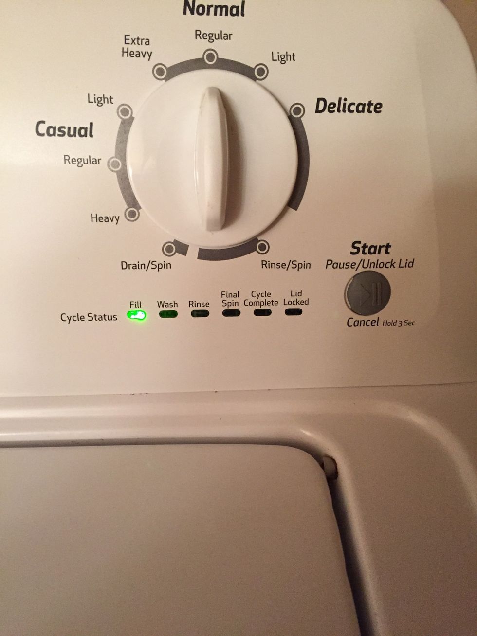 Select the correct option and begin!