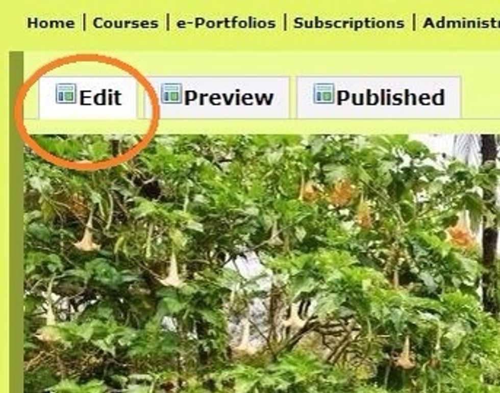 Select the Edit tab to edit content or add images or media to your e-Portfolio.