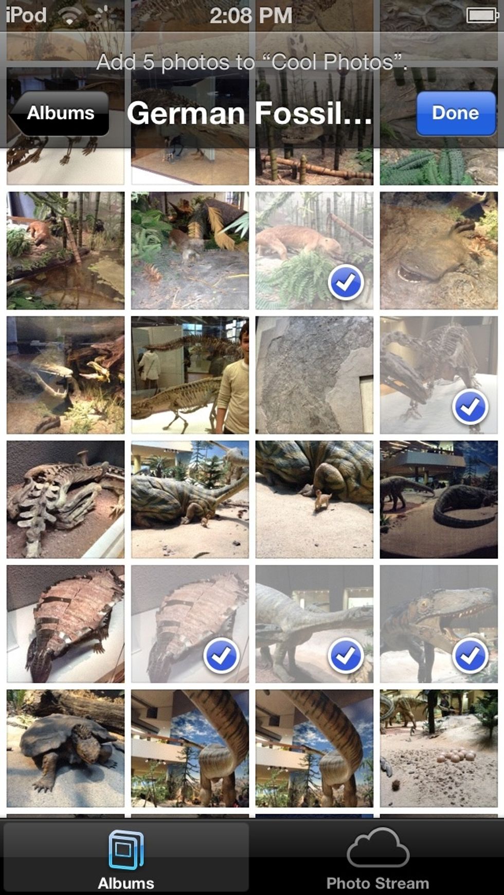 Select the photos you want shared, and tap "done".