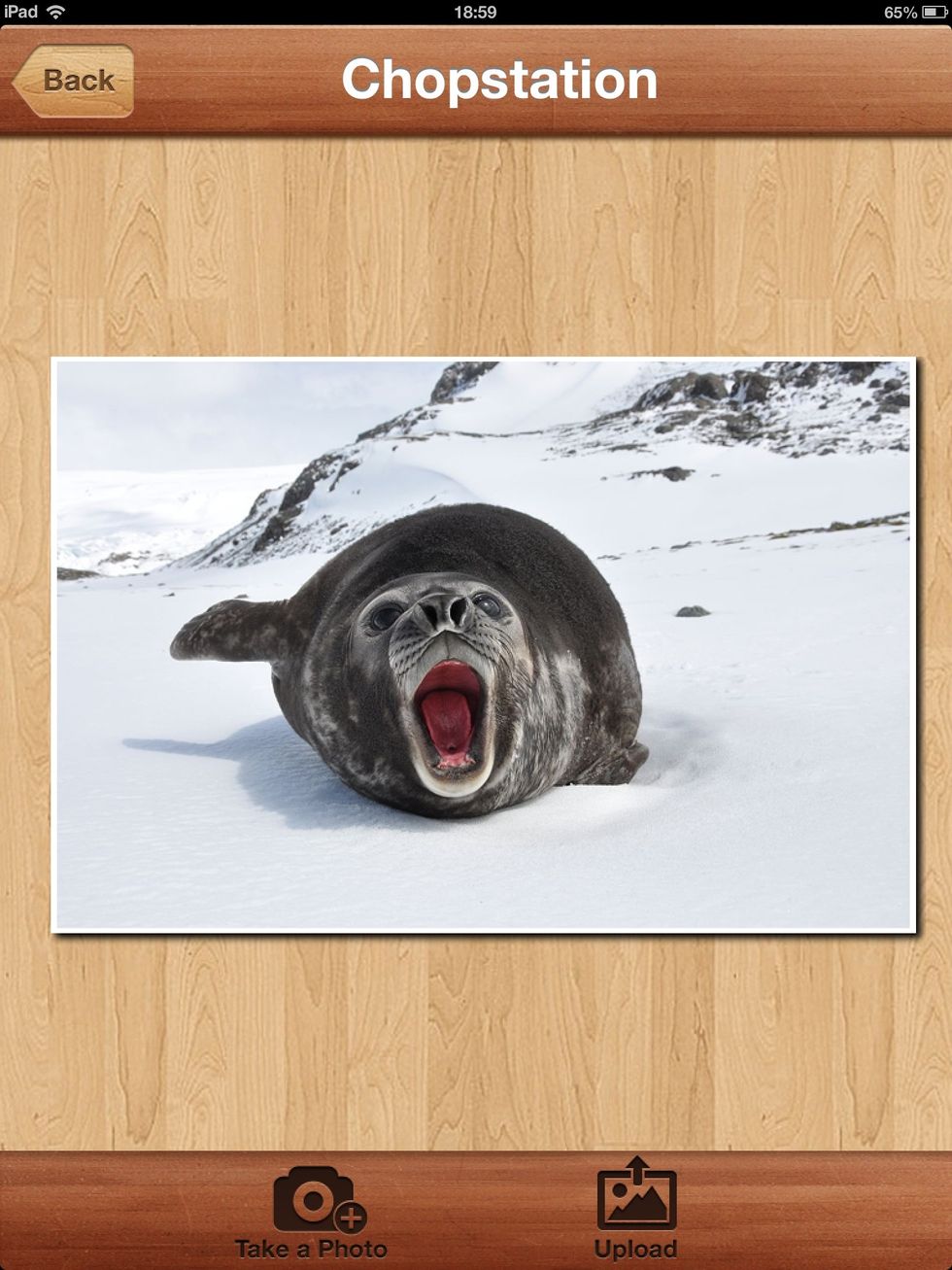 Select the picture you wish to use