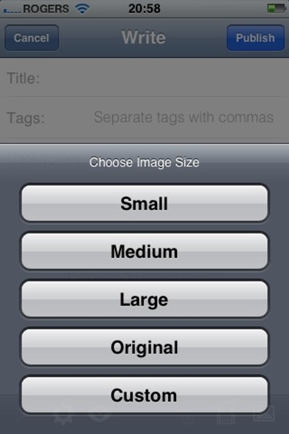 Select the size you'd like the image to appear with in your post.