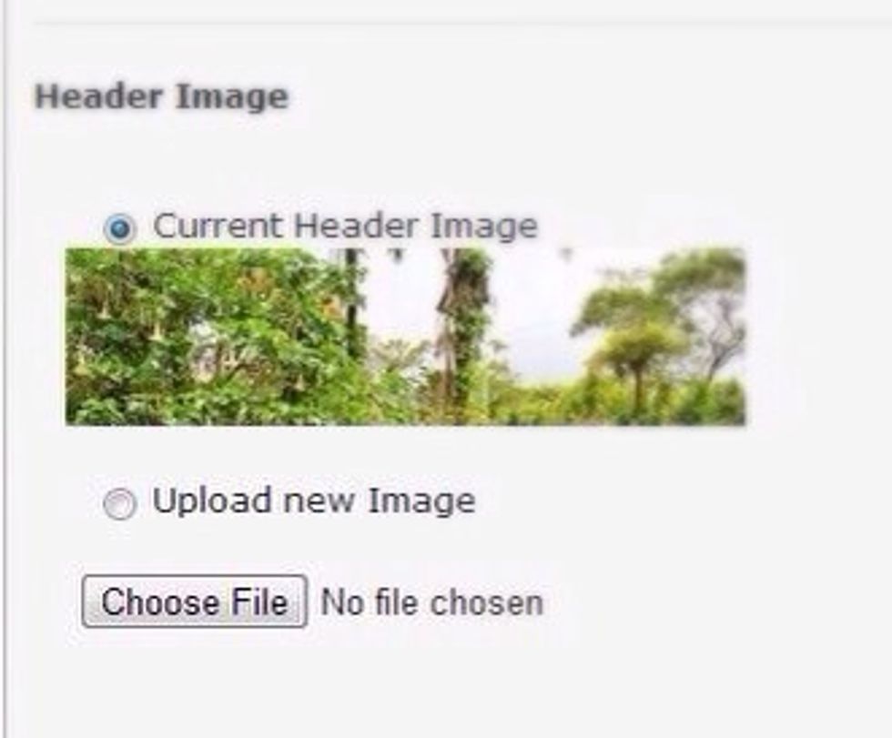 Select Upload new Image to change the Header Image that appears at the top of each page of your e-Portfolio. Note that the image will be resized automatically if it's not 779 pixels.