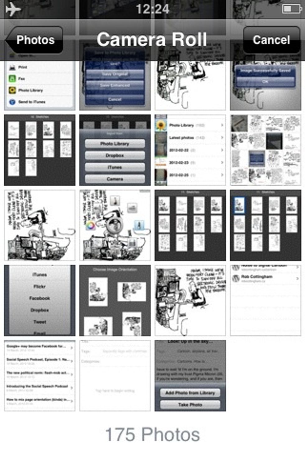 Select your edited cartoon.