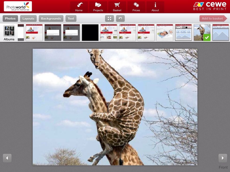 Select your photo(s) from your device gallery or take a picture with your device camera