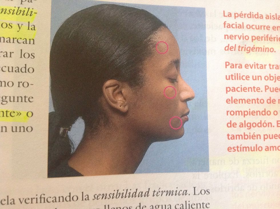 Sensitivo Sensibilidad dolorosa en frente, p\u00f3mulos y mand\u00edbula.