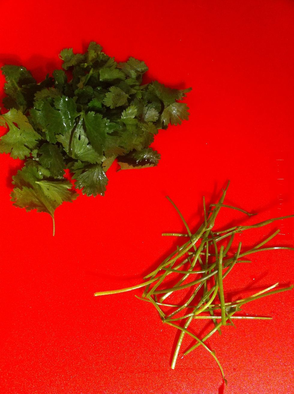 Separate the cilantro leaves from their stems. Discard the stems because we only need the leaves