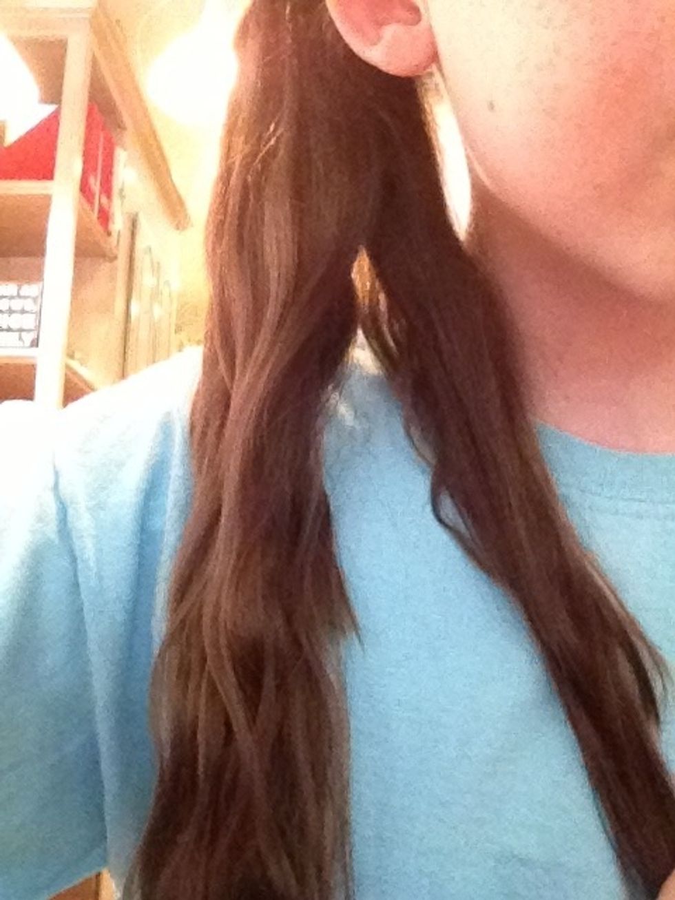 Separate your hair into 2-3 sections. (I have really thin hair so I did 2)