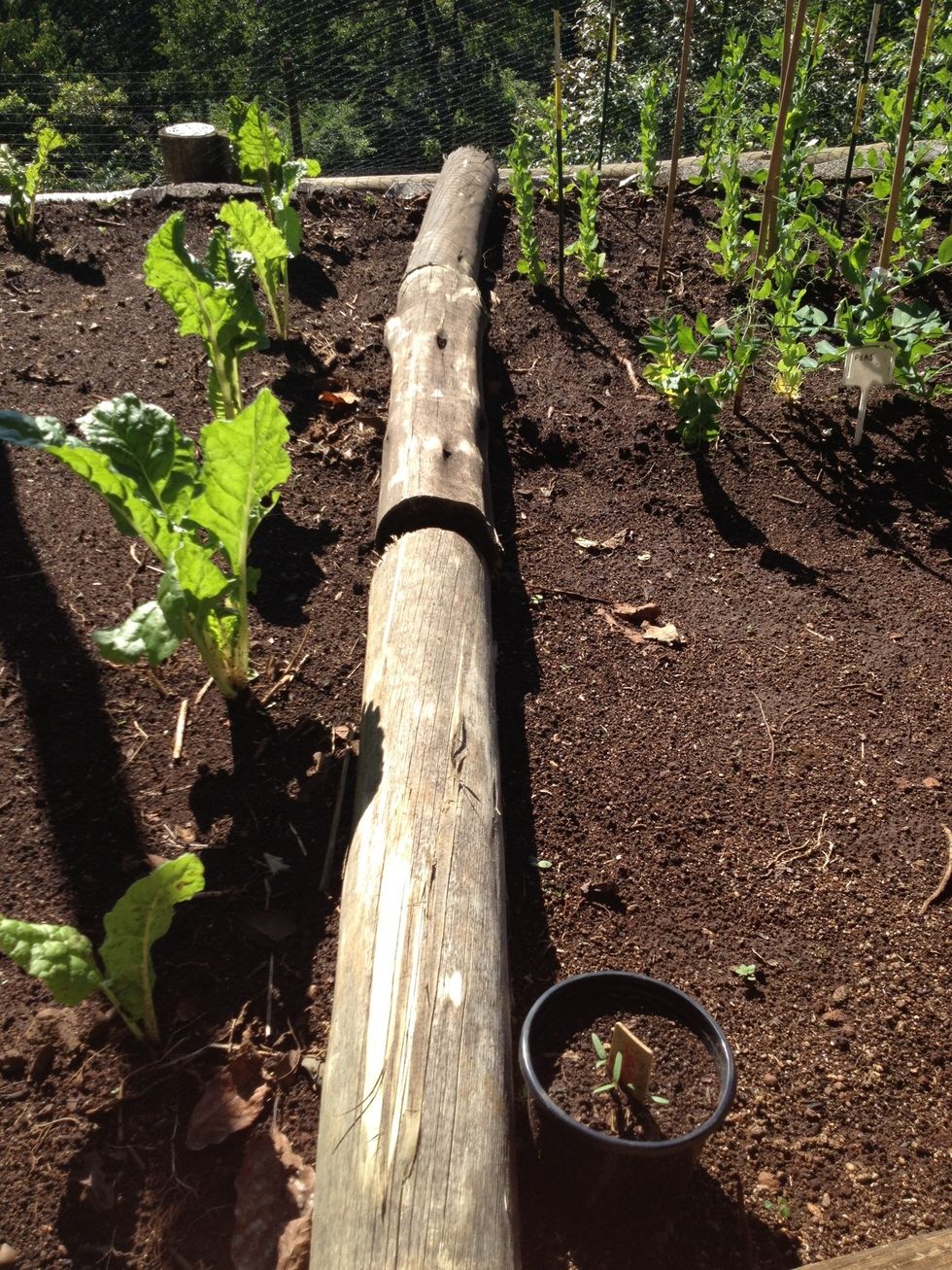 Separate your veggies using round poles
