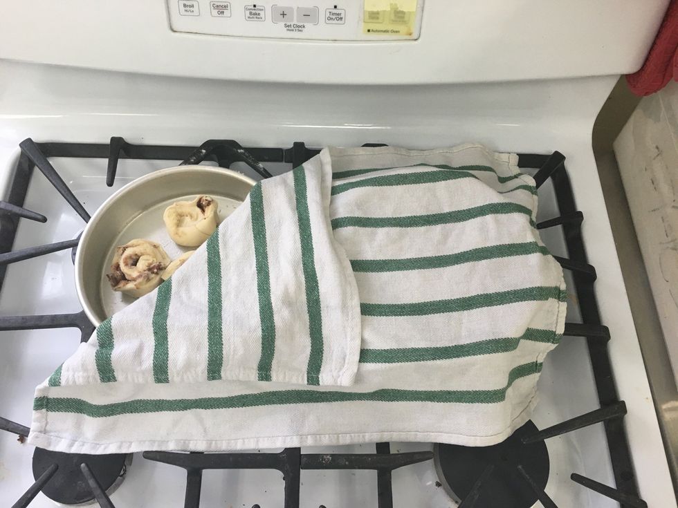 Set in a warm place to double in size.