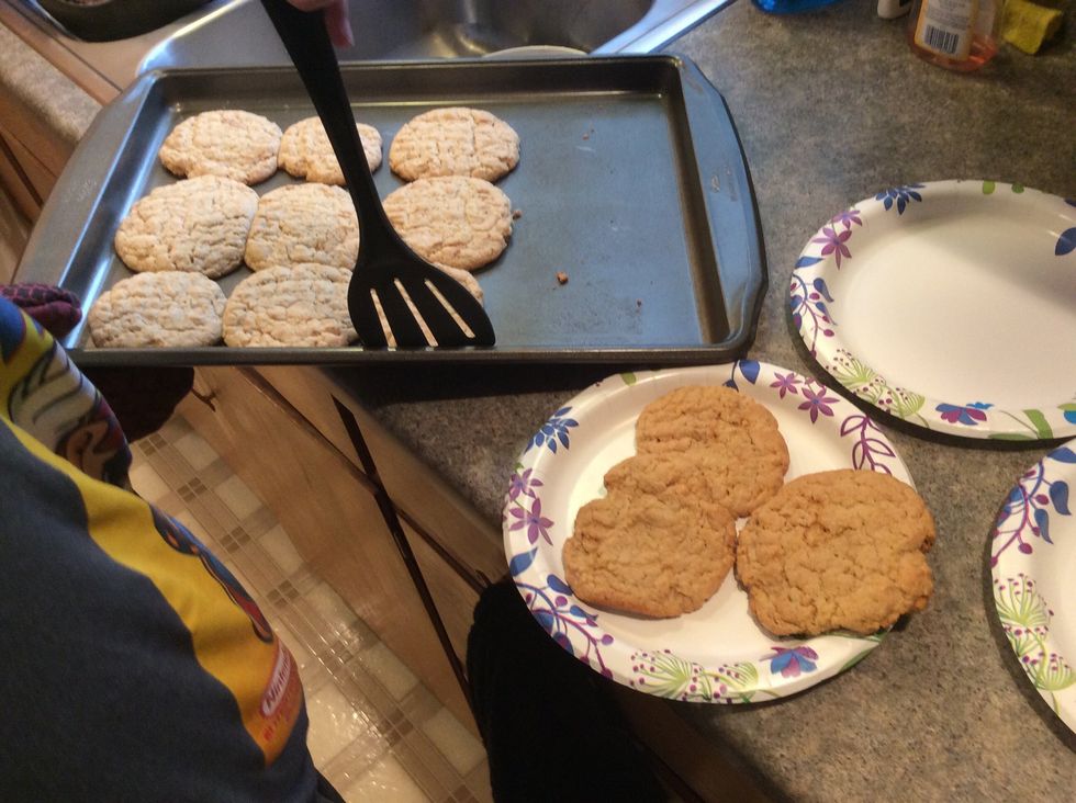 Set the cookies on some plates or a cooling rack and wait about five minutes for them to cool down.