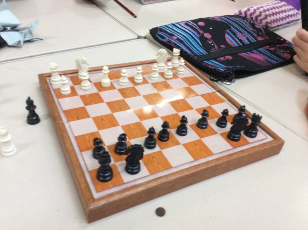 Set the Knights or horses up next to the rooks.