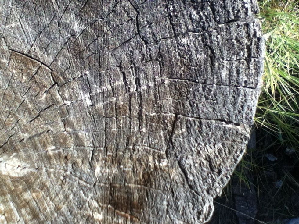 Set the wood on the block and look for cracks or splits.