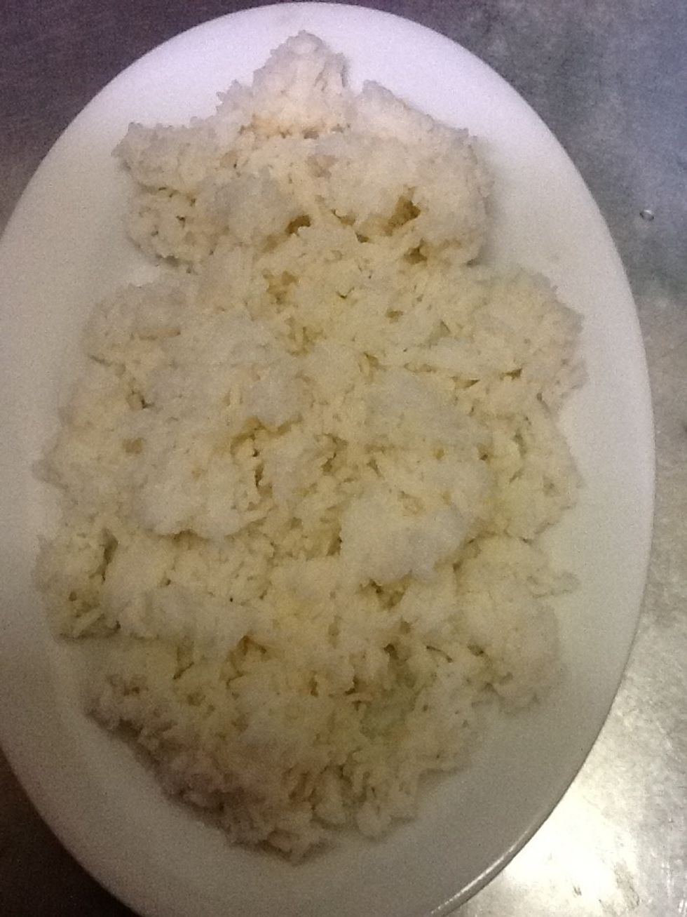 Set up plate