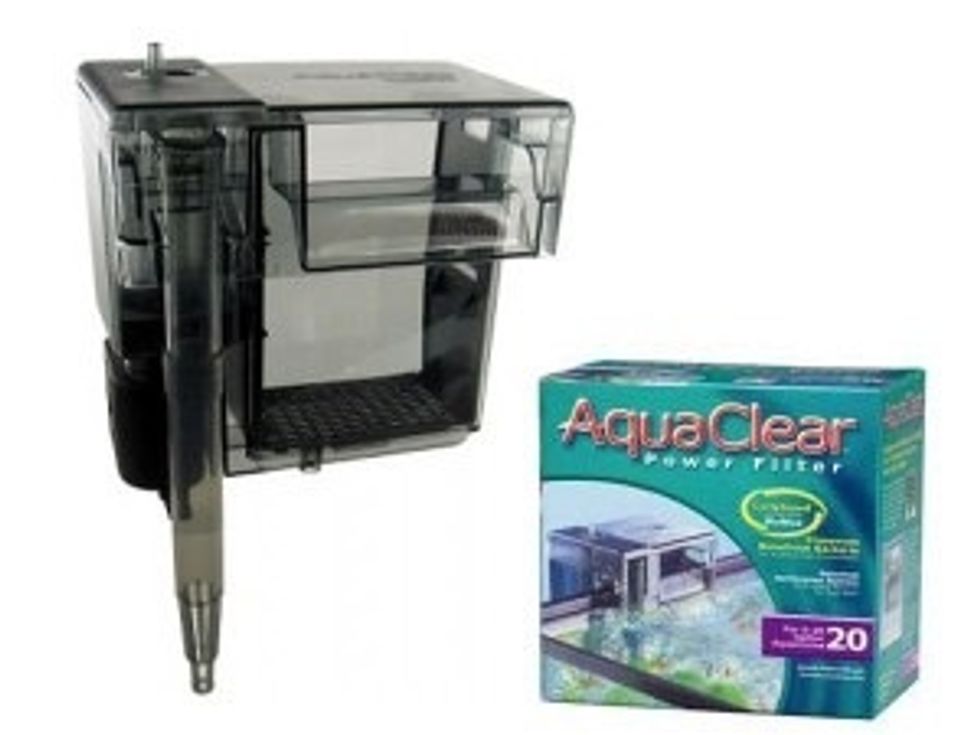 Set up your filter and \u201ccycle\u201d your new tank. Cycling your tank means growing the correct, healthy bacteria on a new filtration system to remove dangerous toxins.