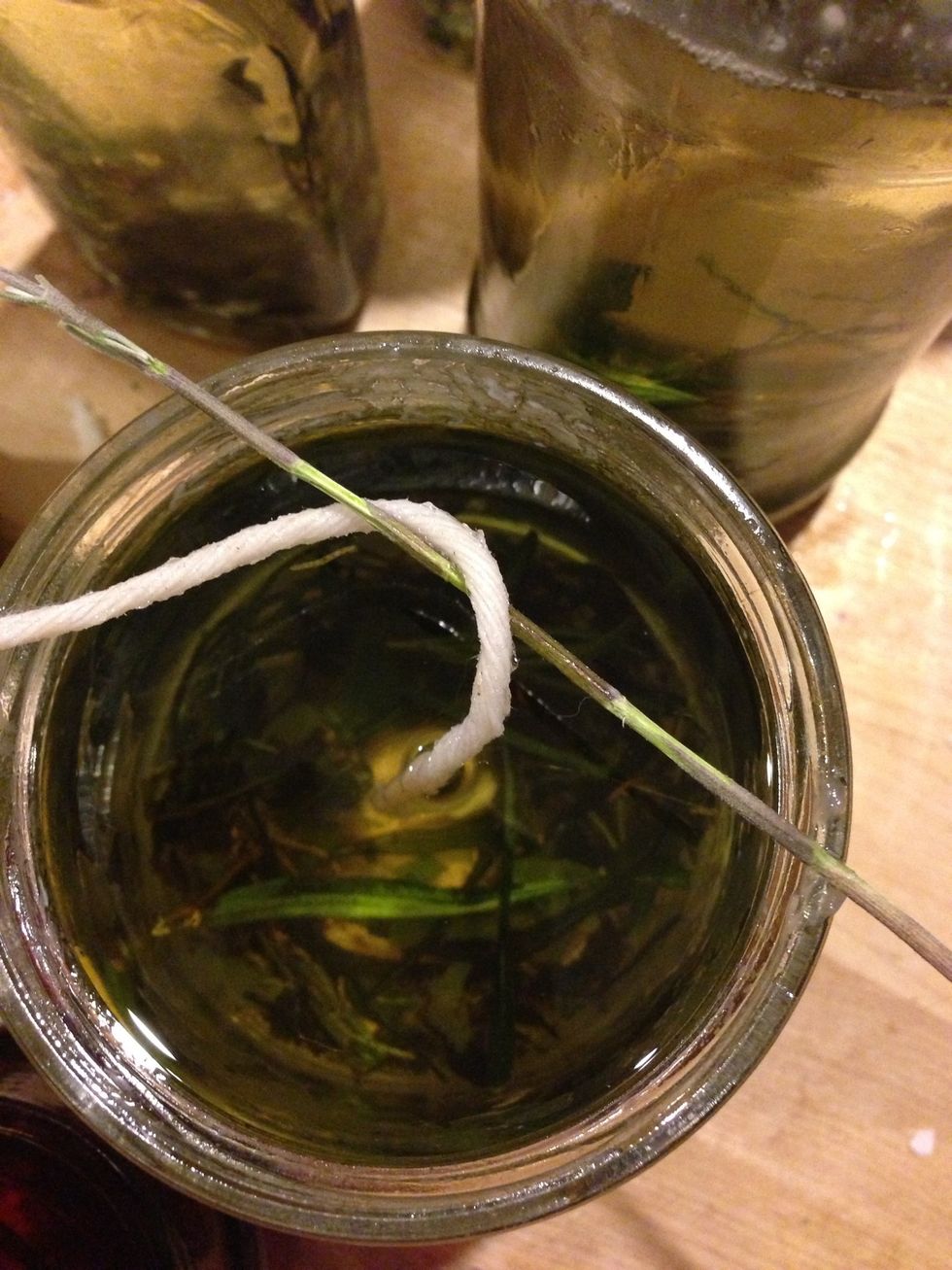 How to make fresh herbal candles in a crockpot B+C Guides