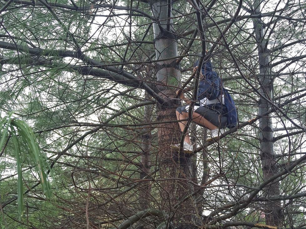 Set your camp out of people's sight - place resources up high in a tree so people won't see them easily.