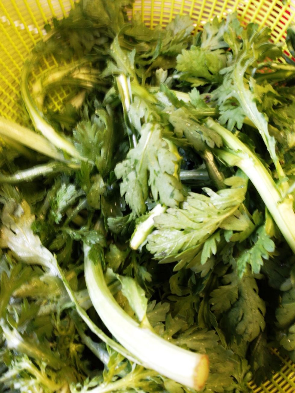 Setsuko couldn't tell me the English name for these greens. She said they come from a type of mum.