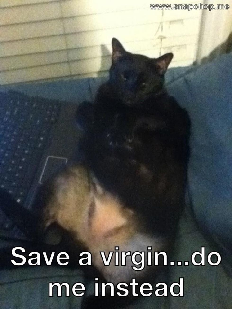 Sex is a very important part of horror, it disarms and puts the viewer in an awkward state considering the setting