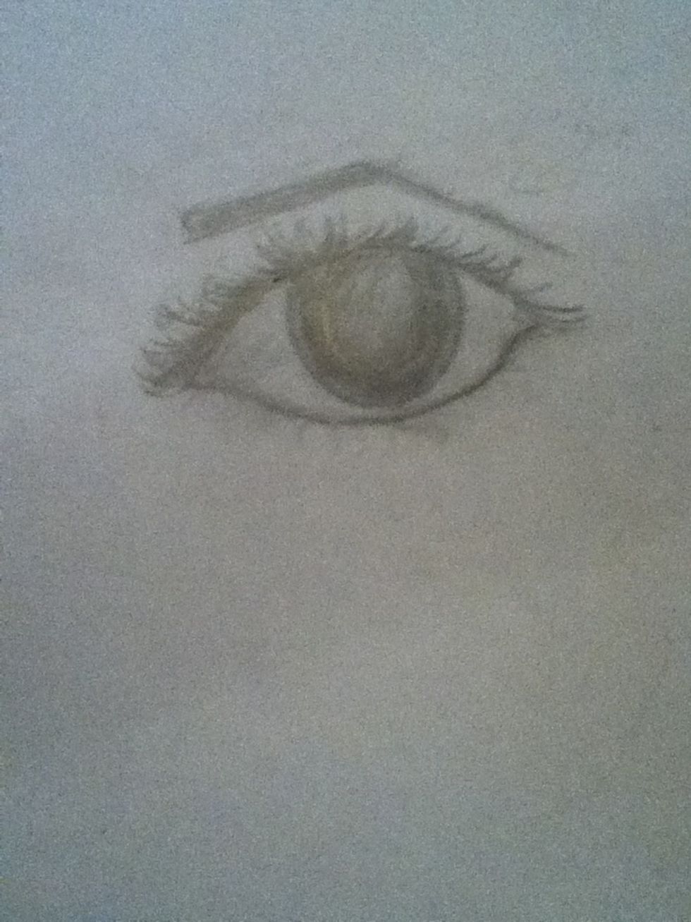 Shade and fix the eyebrow if needed.
