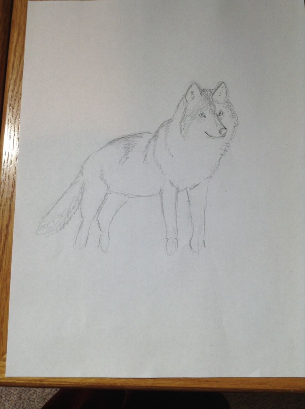 Shade in some of the dark fur.