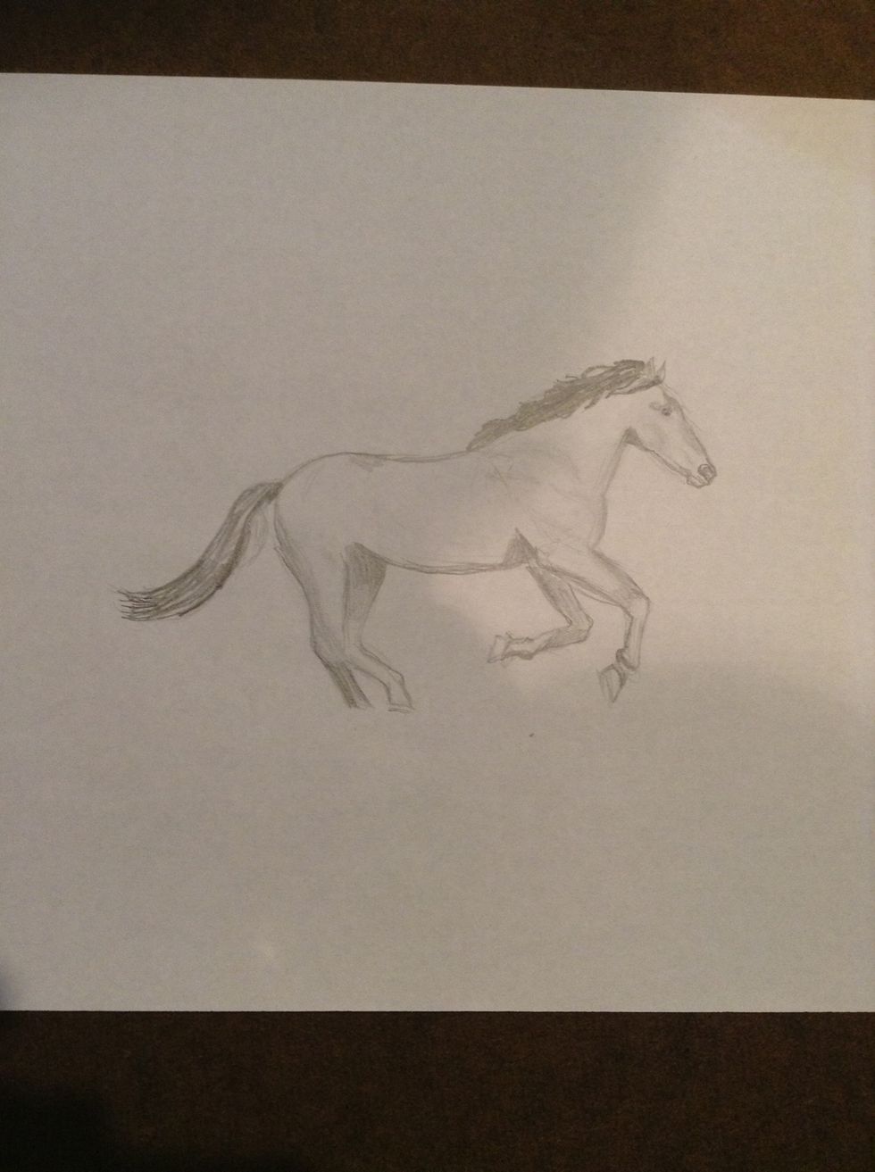 Shade in the mane and tail.