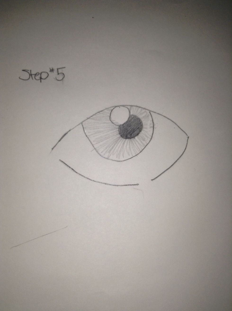 Shade in the medium sized circle