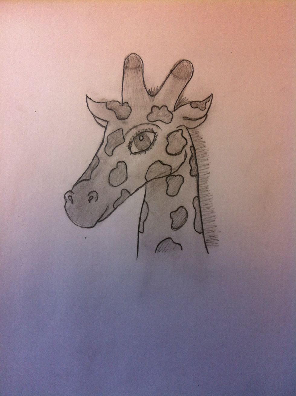Shade the giraffe, then re-outline the spots and erase any stray marks that are not wanted. Then you finished!!