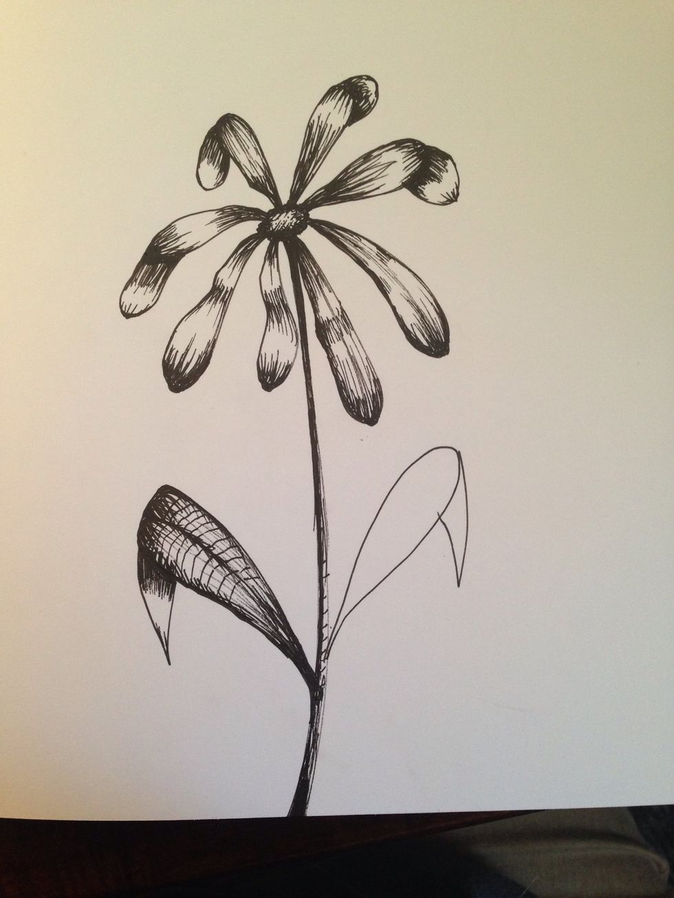 Shading very similar to petals.