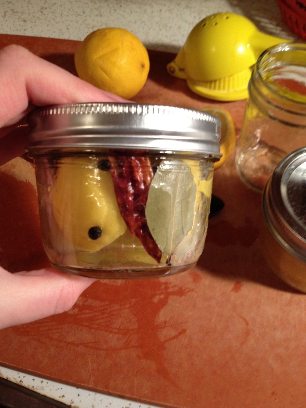 Shake jar daily to coat lemons, and store in a bright sunny location. Over the course of one week the juice level should increase, if not, open jar and add more lemon juice