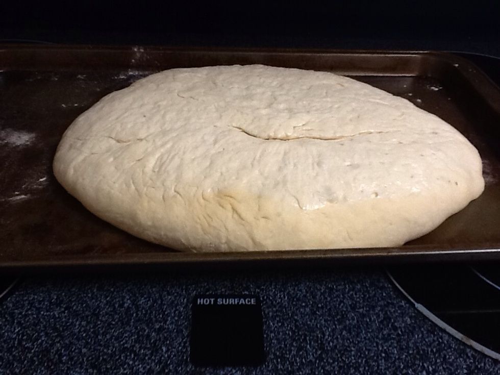 Shape into loaf of bread and brush with oil and cover with plastic wrap and let in rise in fridge for 2-25 hours