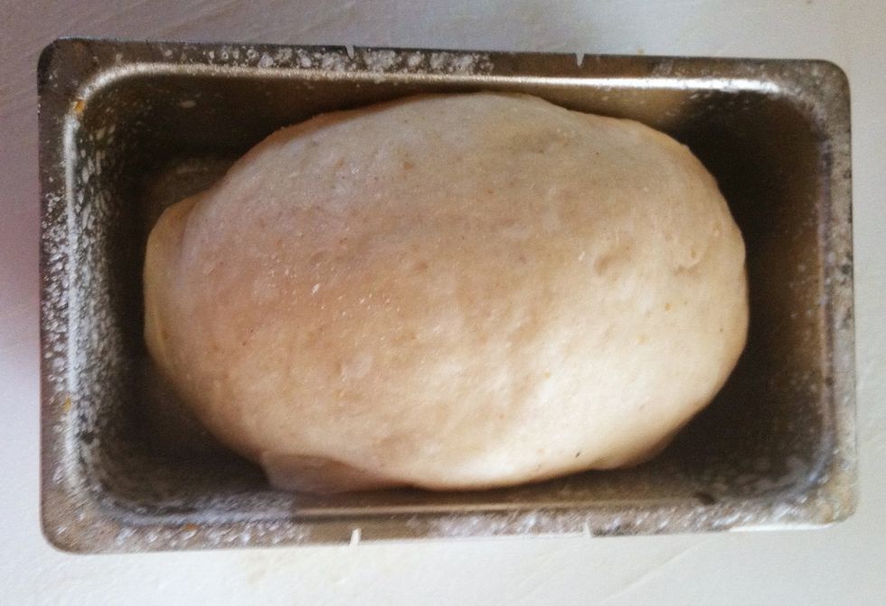 Shape the dough (in any way that you choose as dough is very forgiving).  Place seam-side down into the pan.  Cover and leave to rise for 45 more minutes.