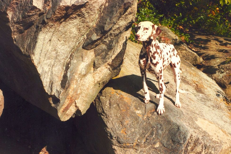 ... she always following a few yards away, my buddy.