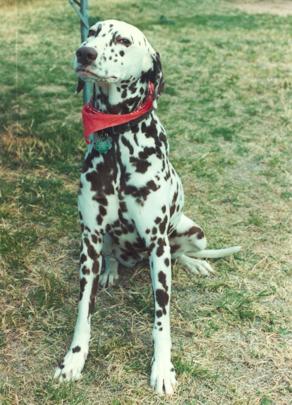 She departed permanently, but I never forgot what I learned that day in the woods.