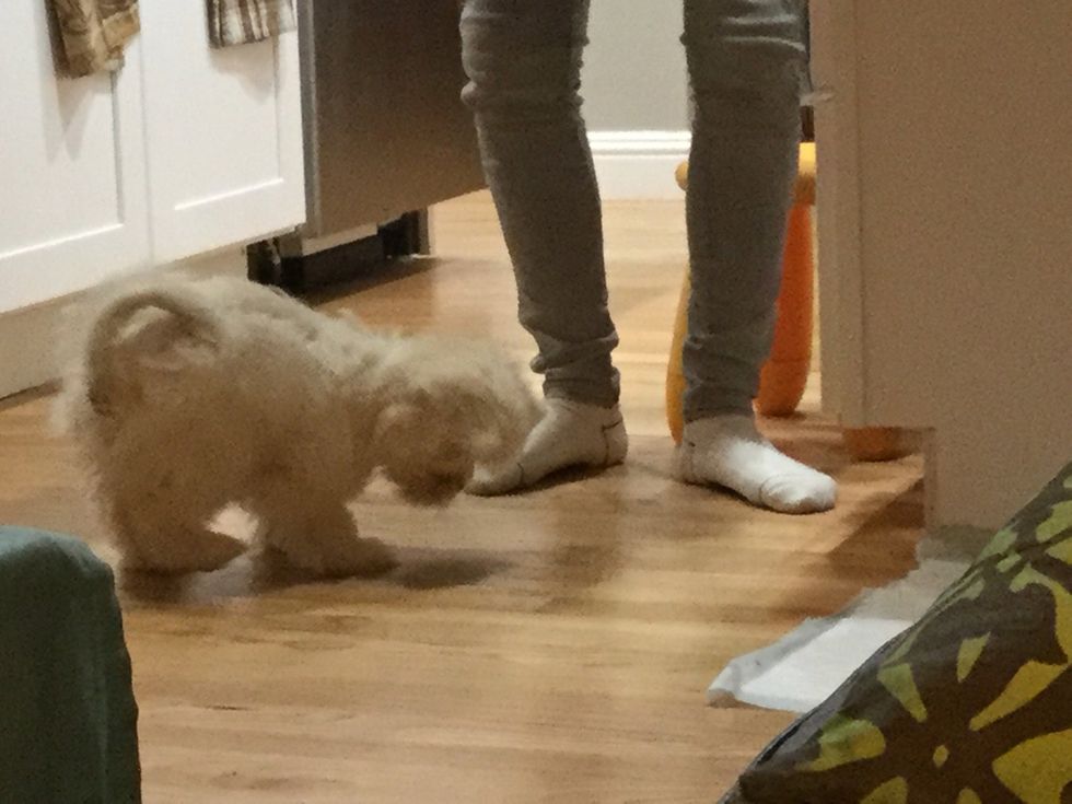 She finds it and eats it\ud83e\udd17