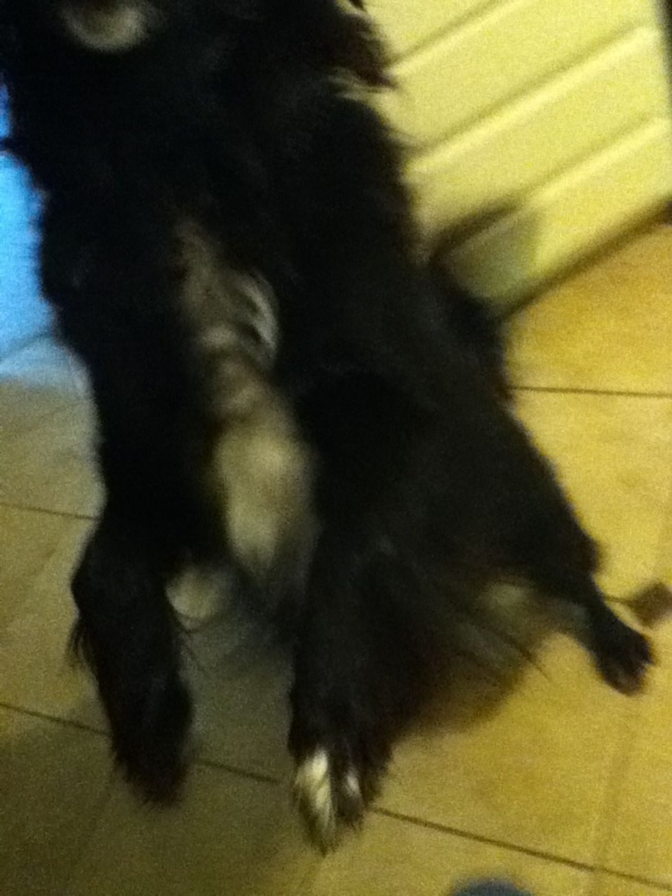 She got excited and jumped..
