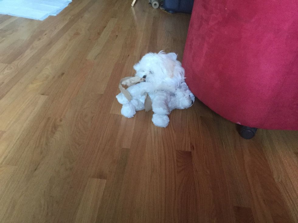 She is now biting paper she found on the ground\ud83d\ude01