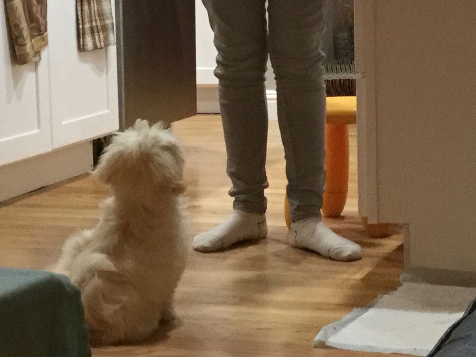 She look at you and wait for her treat\ud83d\udc40