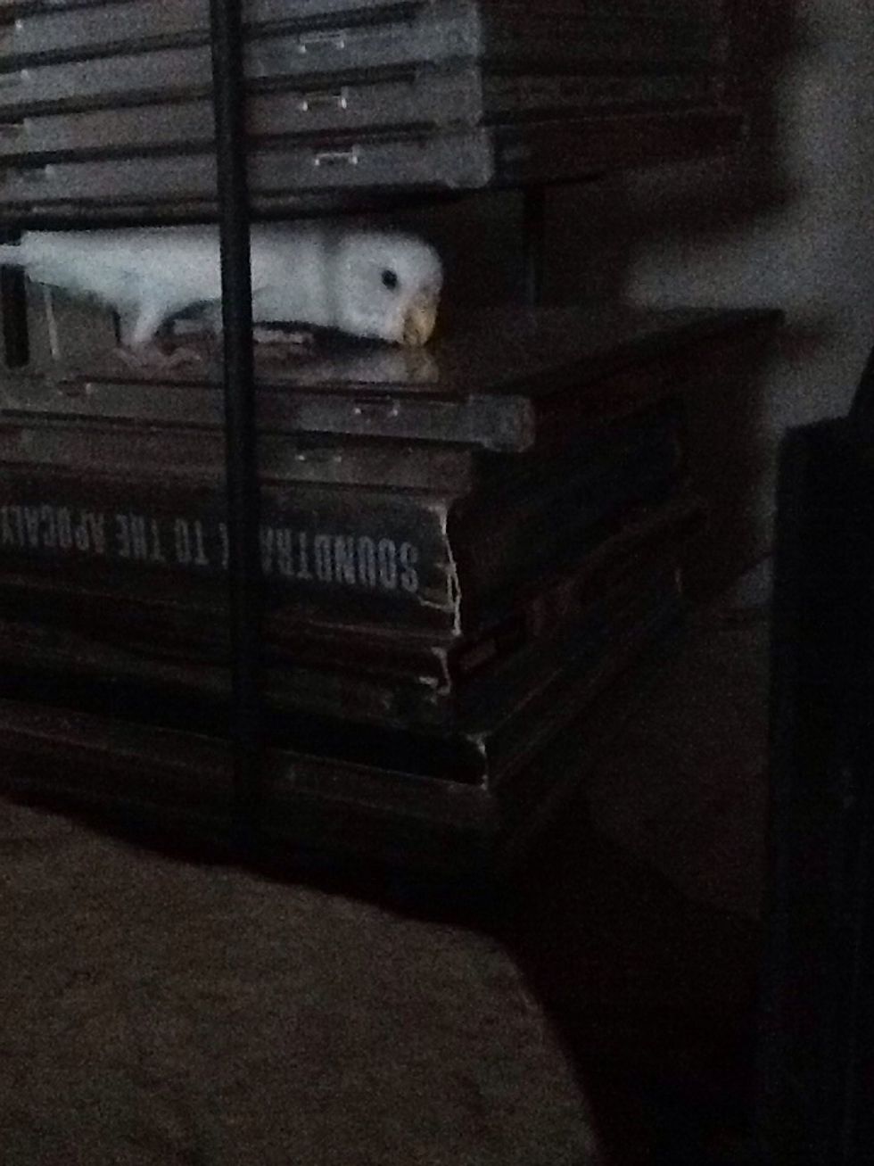 She loves her music lol