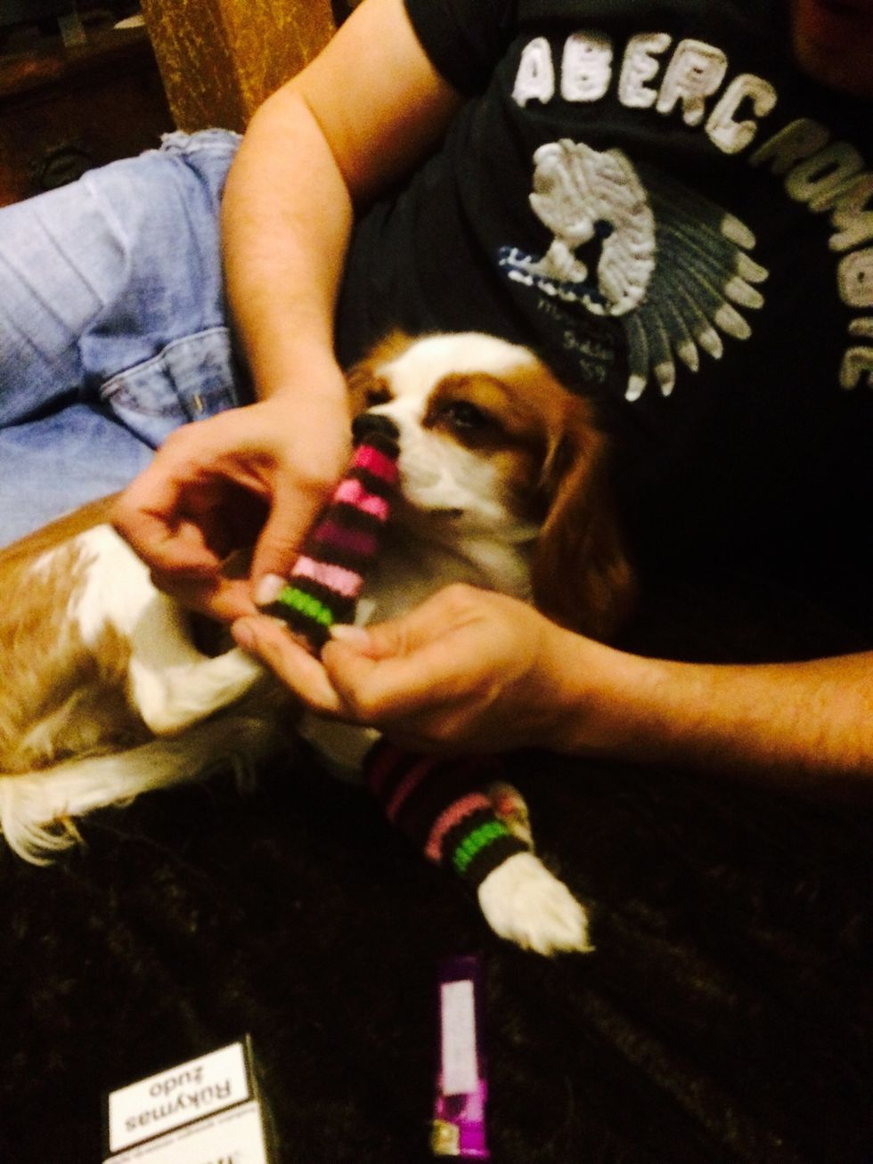 She's need a bit of extra help with the back ones.