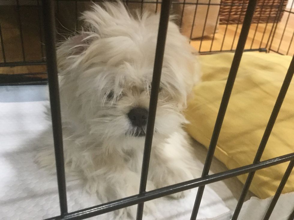 She wakes up with an ear flipped back\ud83d\ude01