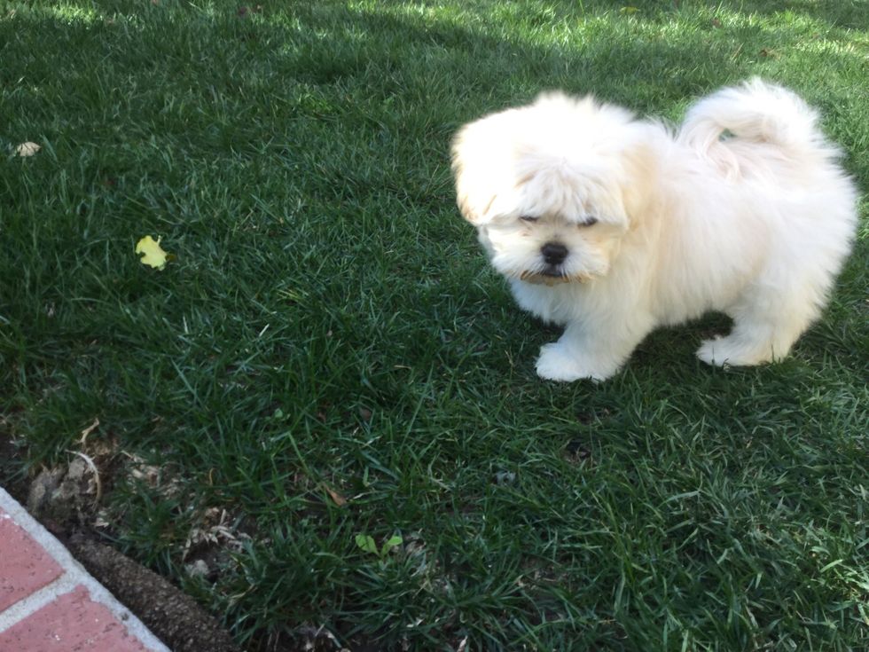 She will go out and find them\ud83e\udd14