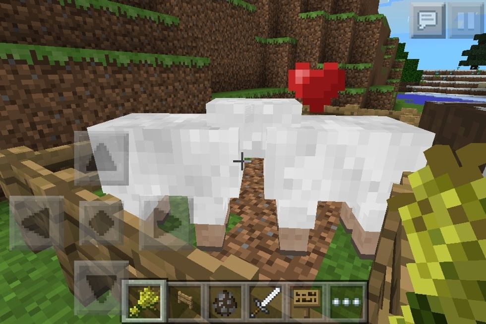 Sheepsies making love.