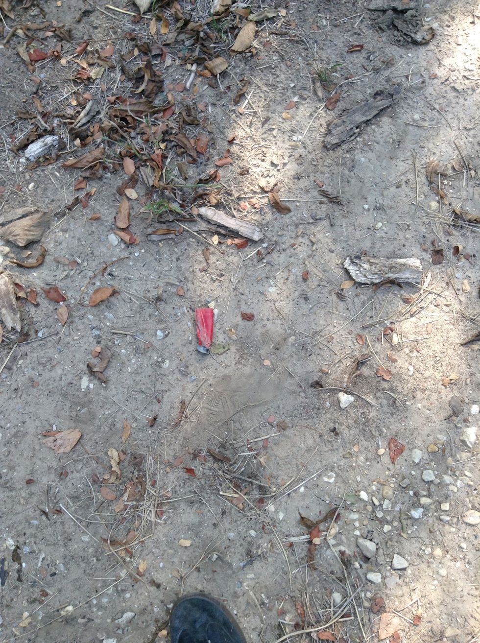 Shotgun Bullet (day1).My Friend told my a Shotgun bullet.