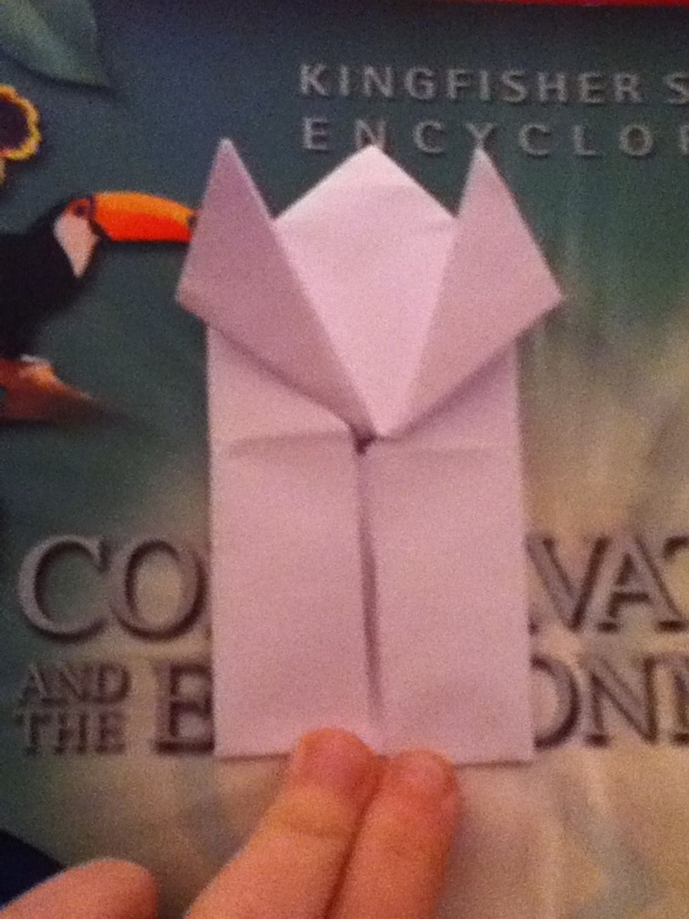 Should look like this