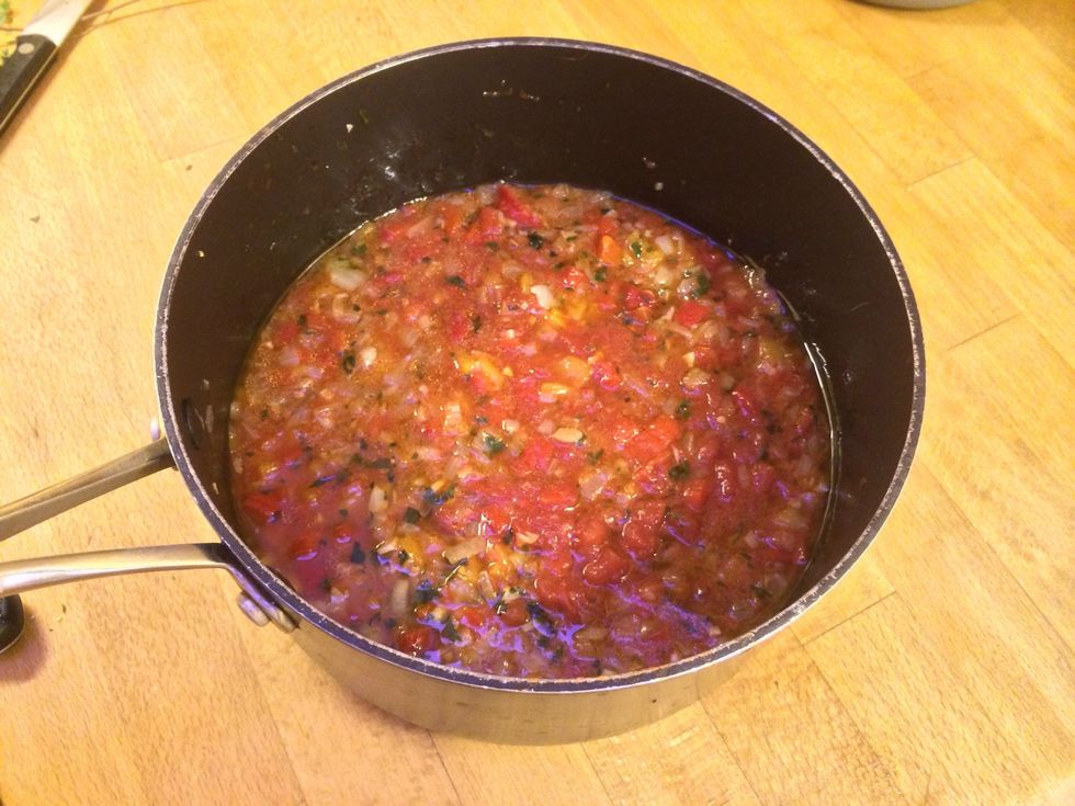 Should look something like this! Cook and reduce down adding salt and pepper to your taste. This should take about 30-45 mins on a medium heat.