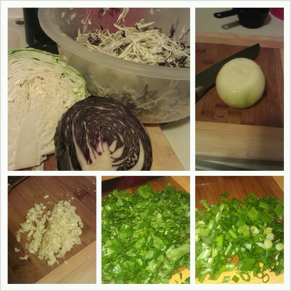 Shred cabbage and slice onion thinly but does not have to be fine. You can add more or less of what you want.